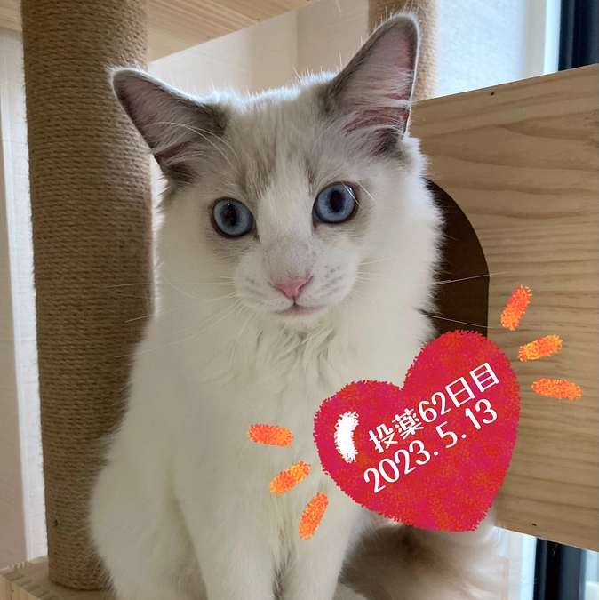 投薬６２日目(2023.5.13)＆ご支援のお知らせ