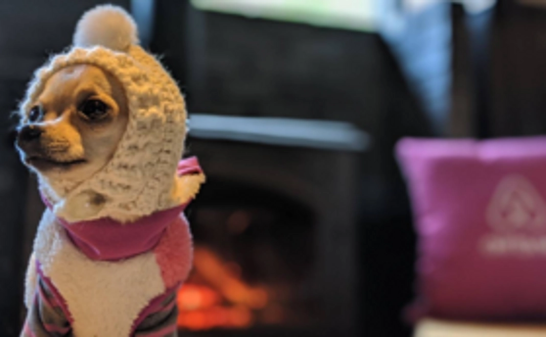 プロジェクト応援　ノーリターン