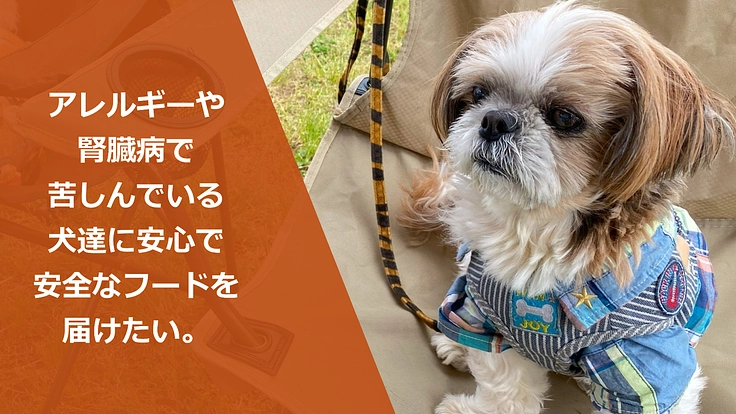 アレルギーや腎臓病で苦しんでいる犬達に安心で安全なフードを届けたい