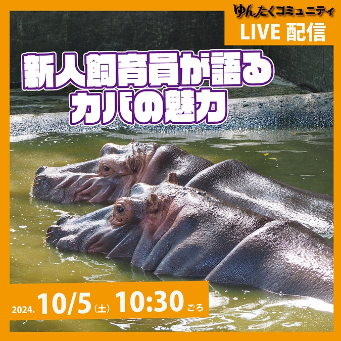 ゆんたくコミュニティ限定ライブ配信「新人飼育員が語るカバの魅力」