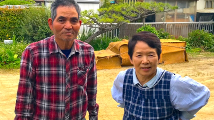 20年のこだわりが詰まった大きくて美味しい空豆を種苗登録したい