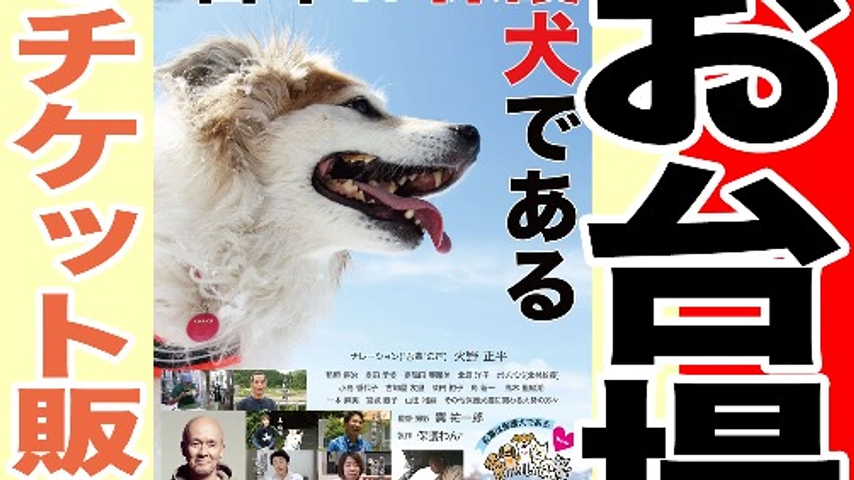 お台場で映画『吾輩は保護犬である』の大上映会を行います！！！