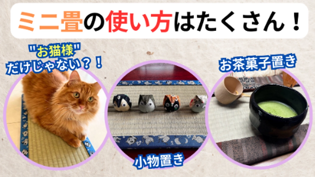 【お猫様以外にも！】ミニ畳の使い方は自由自在