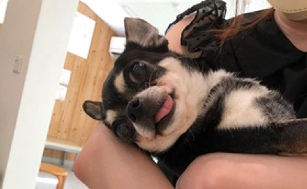 ご支援ありがとうございます②リターンなし