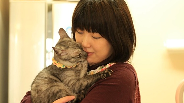 猫達の幸せな生活のために保護猫カフェの2階を改修したい！