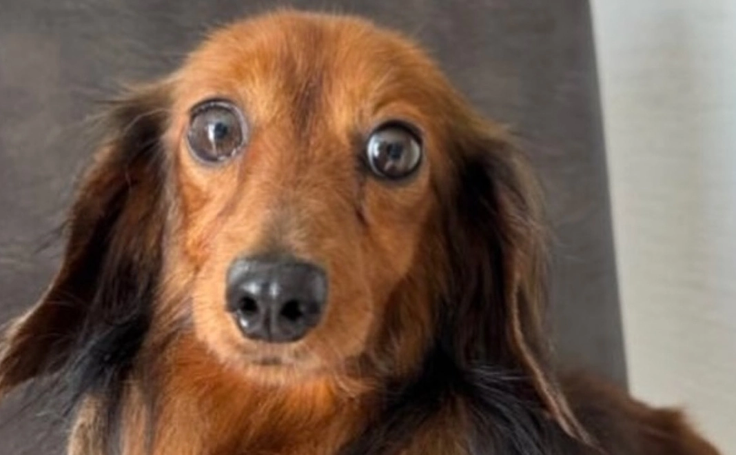 ブロンズサポーター⭐︎30万円