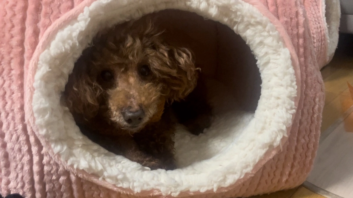 残り４１日となりました！