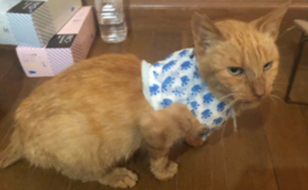 ちゃちゃまる💖3000コース