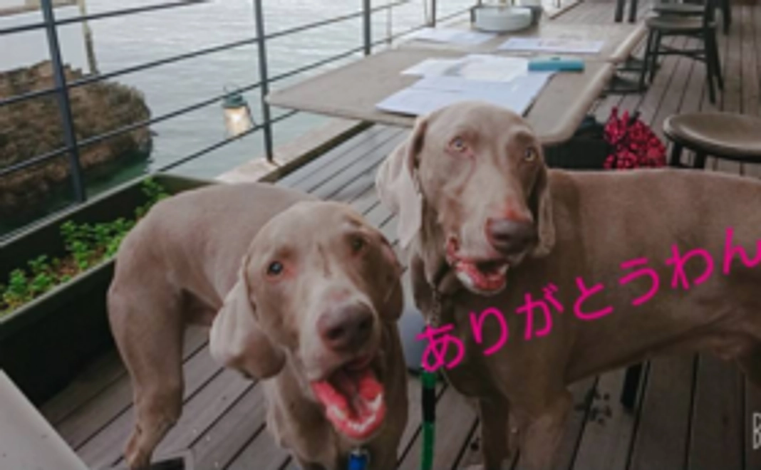 ご支援ありがとうございます＾＾