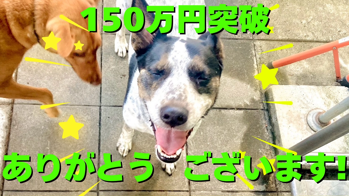 🌸感謝のご報告🌸クラウドファンディング150万円突破いたしました！🌸