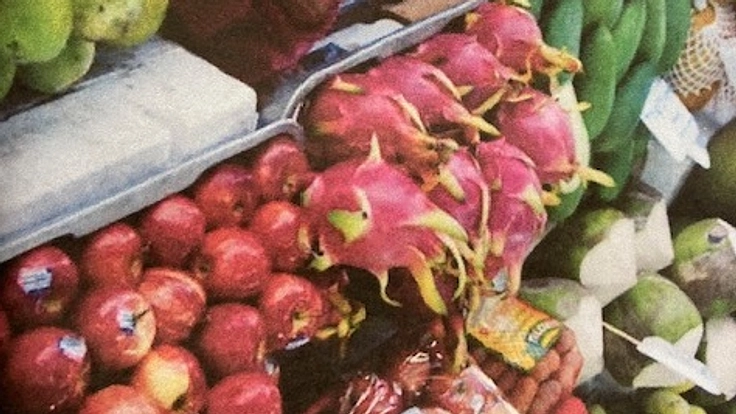 日本人の優しさを世界の青少年に