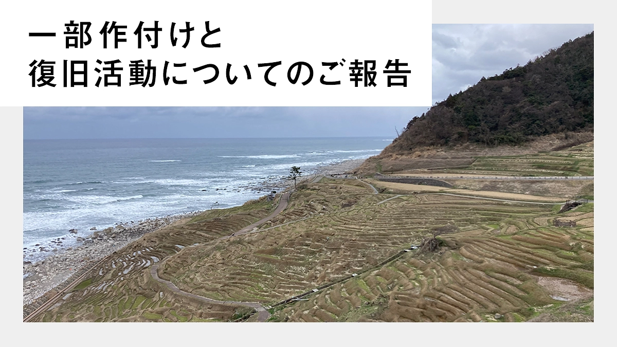 修復作業と併せて、一部の田んぼで作付けを行います