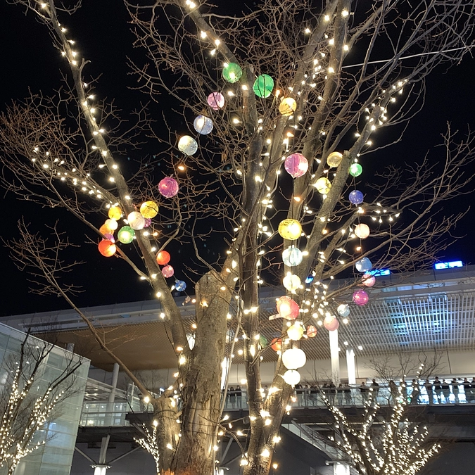 2023NIIGATA光のページェント無事点灯のご報告。