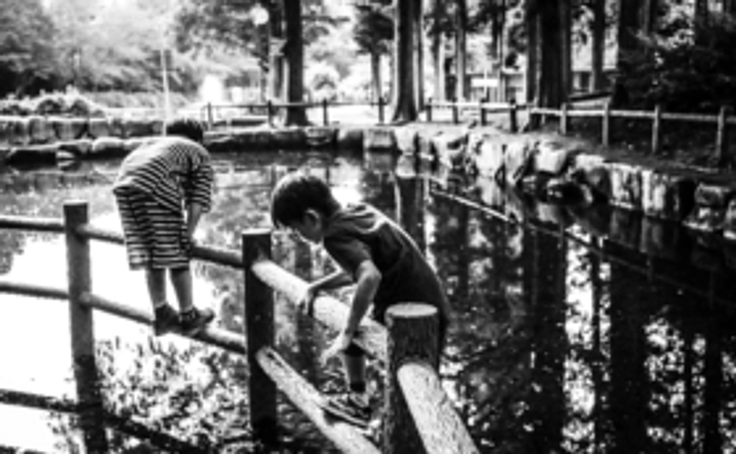 池の男の子の写真：六つ切りワイド