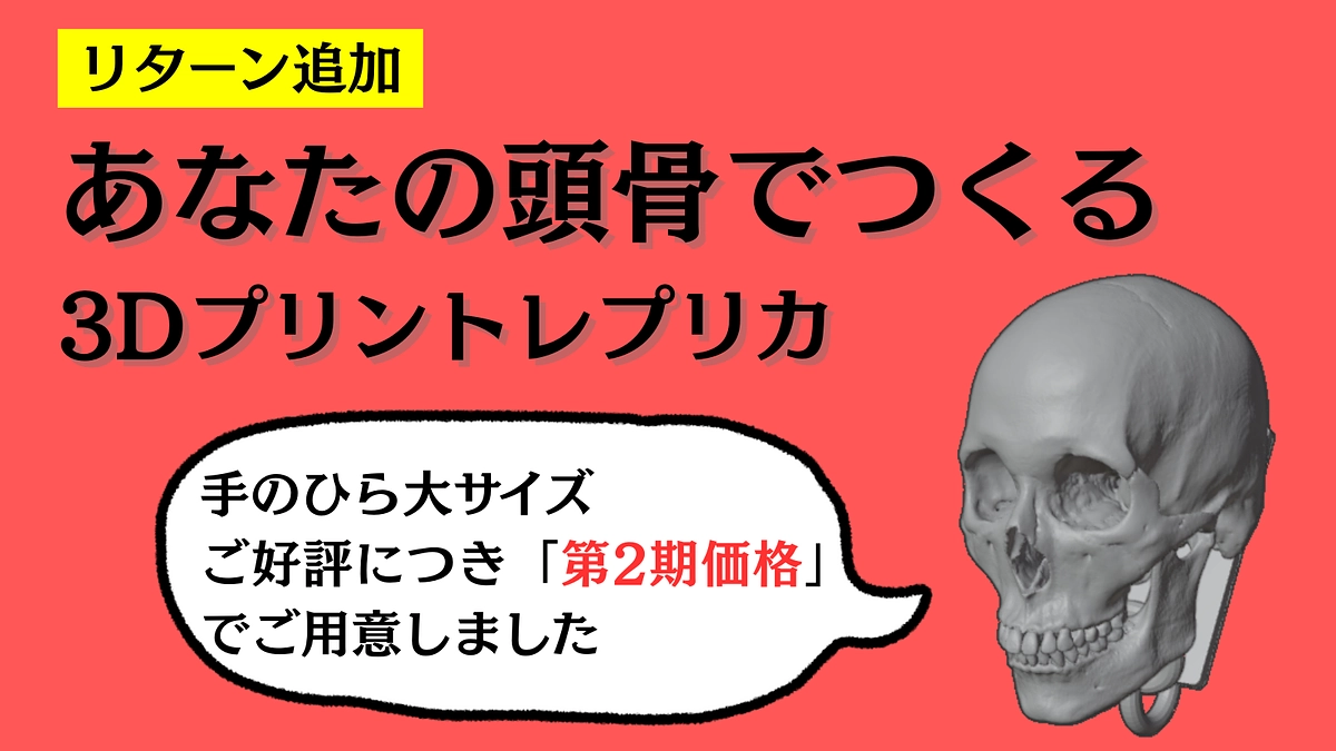 【あなたの頭骨「手のひら大」コース】第2期価格で追加します！
