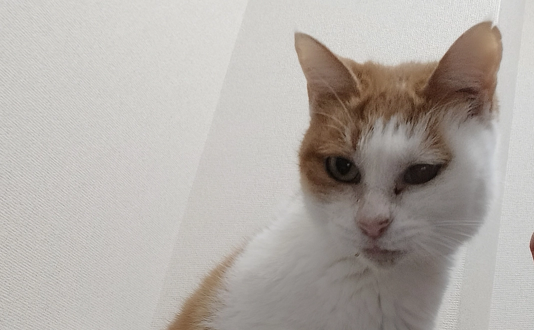 感謝のメールと写真1枚送らせていだきます。