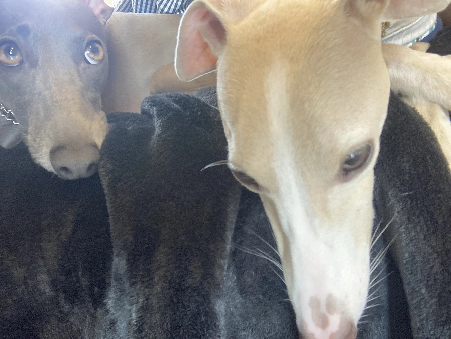 達成率がまだ１４％です。だいぶ苦戦しております！