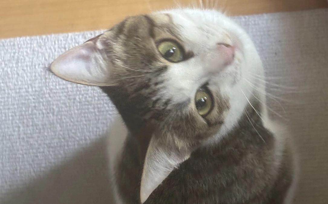 投薬70日目のご報告