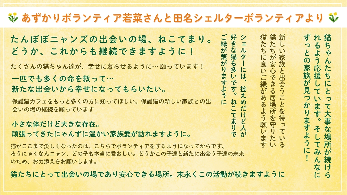 あずかりボランティア若菜さんと田名シェルターからの応援メッセージ