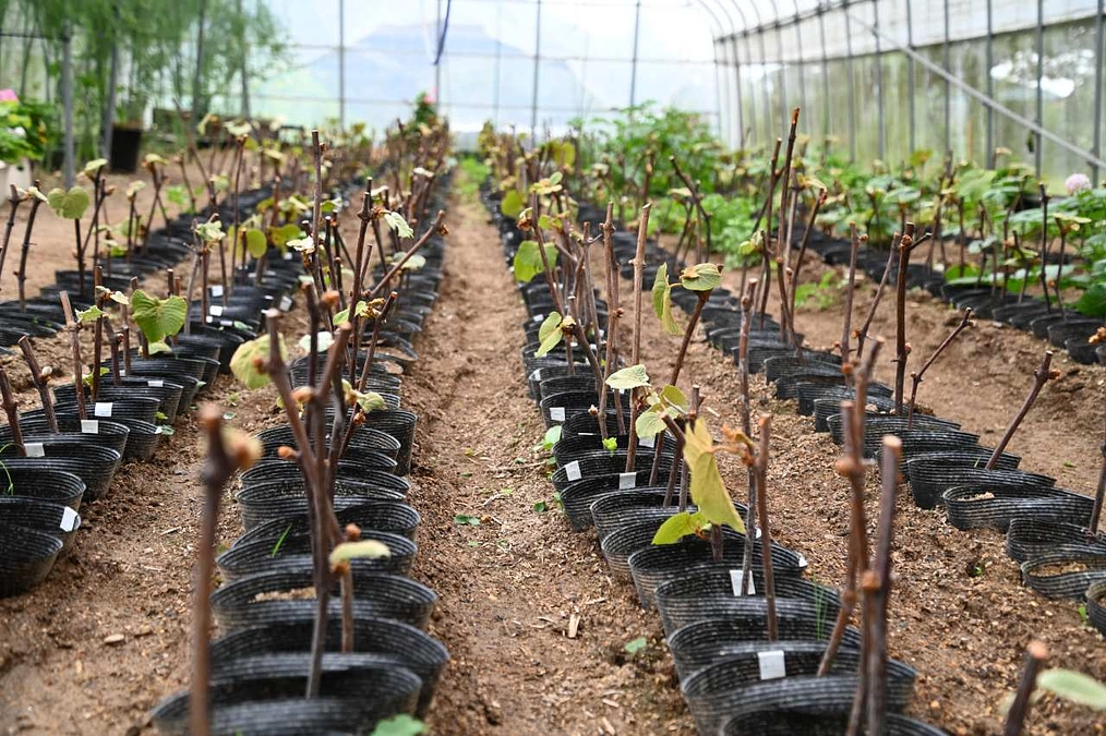 支援者様からお手紙が届きました！