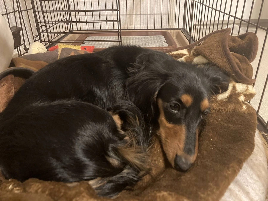 闘病記録【再手術、そして再びリハビリの日々へ】