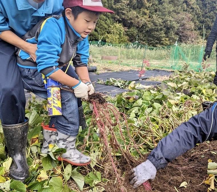 観光農園『いなふぁーむ』さつまいも収穫祭【郡山市・湖南町】