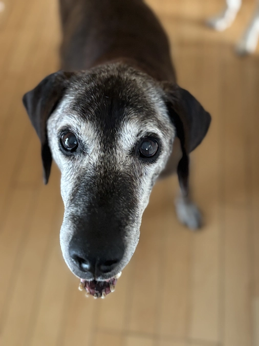 1ヶ月だったけど