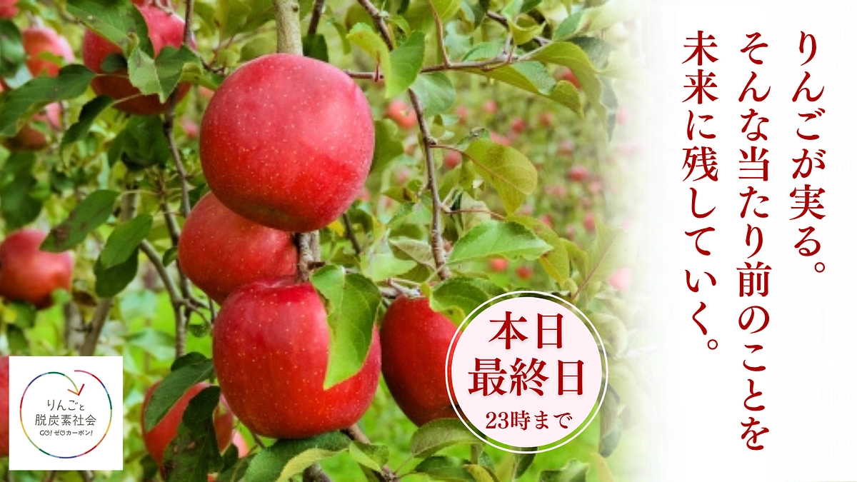 【本日最終日！】信州りんごを未来へ！支援の「想い」を「形」にするラストチャンス！