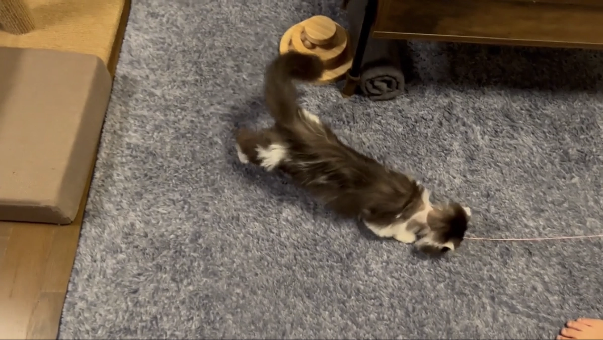 10/23のテオくんの様子