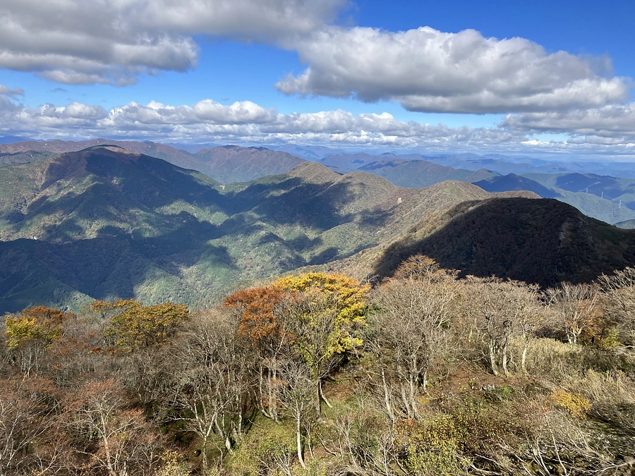 第2回伊吹山イヌワシ観察会