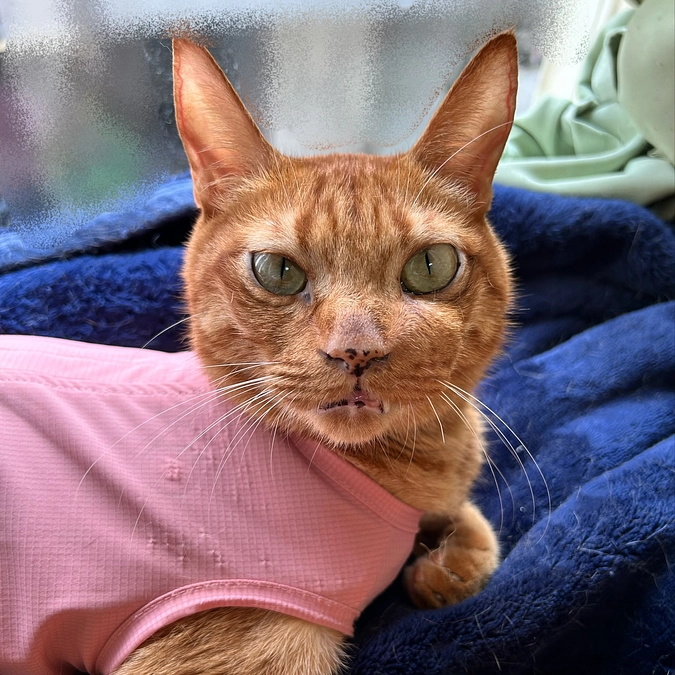 6/16  抗がん剤治療