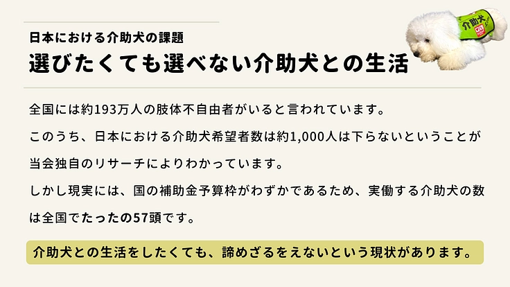 #みんなで届ける介助犬｜今年は目標＋3頭！介助犬の減少に歯止めを 2枚目