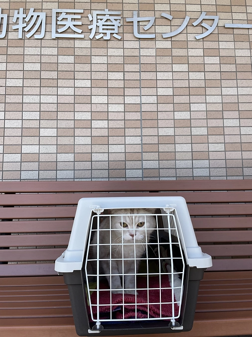 病院に行かせて頂きました