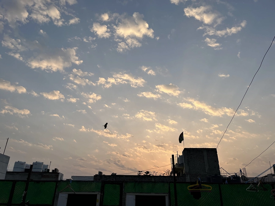 【残り6日】皆様からのご支援・情報拡散をぜひお願いします！