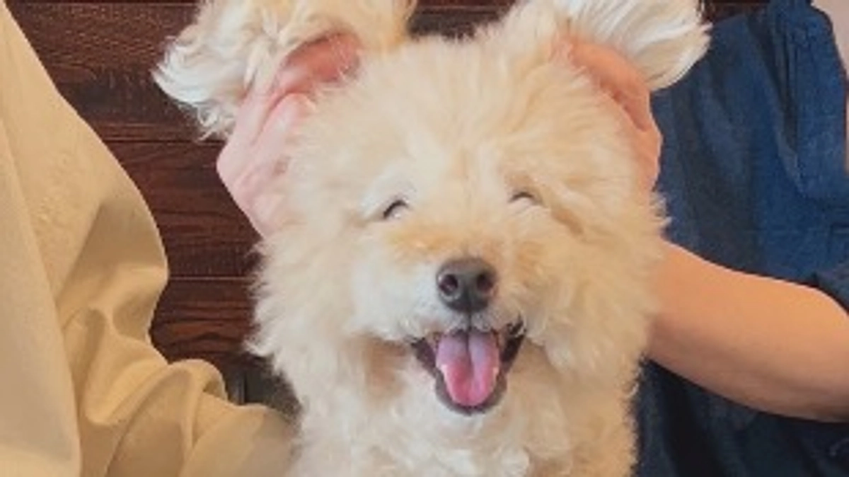 膀胱炎になりました😰😰