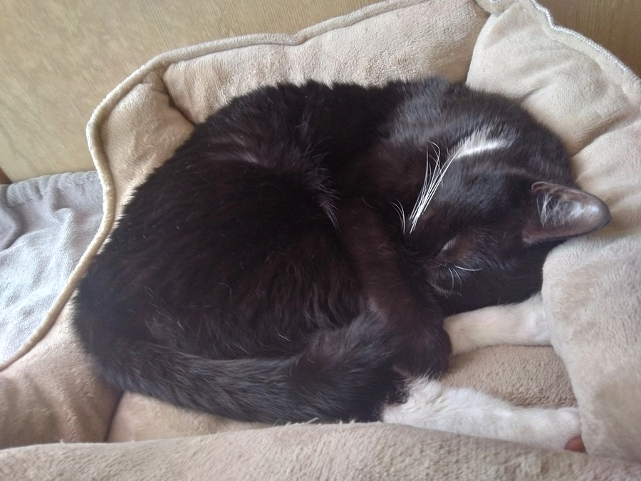 6/3はなちゃんの様子