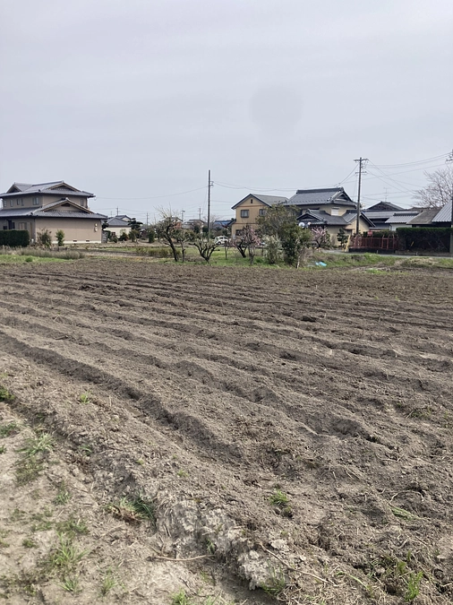 畝作りました！
