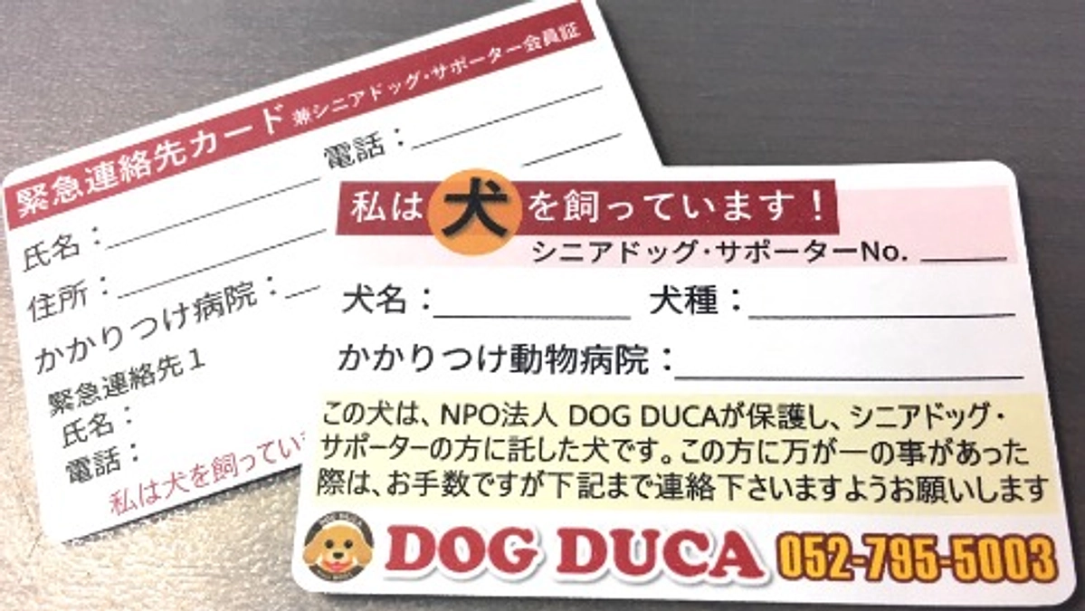【残り６日！】いただいた「シニアドッグサポーター」へのギモン×５に答えます！