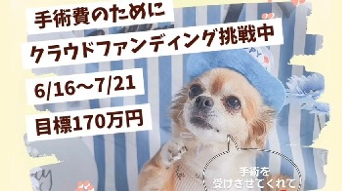 目標金額達成のご報告とお願い【活動報告34日目】