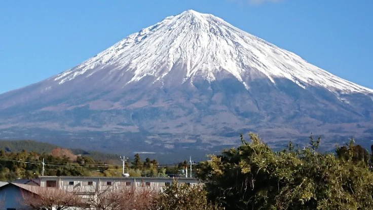 富士宮市で地域の人に寄り添った買い物代行サービス業をやりたい
