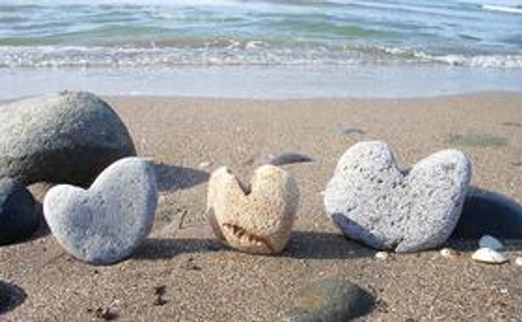 感謝の気持ちを込めて!