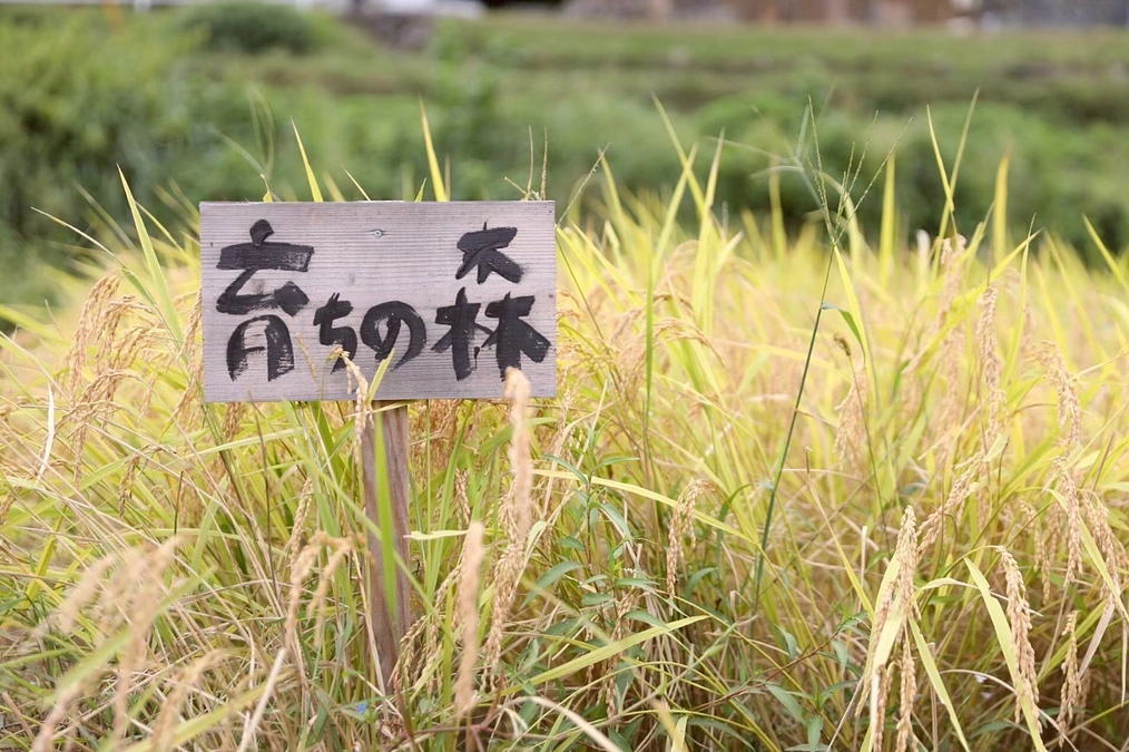 クラウドファンディングスタート！