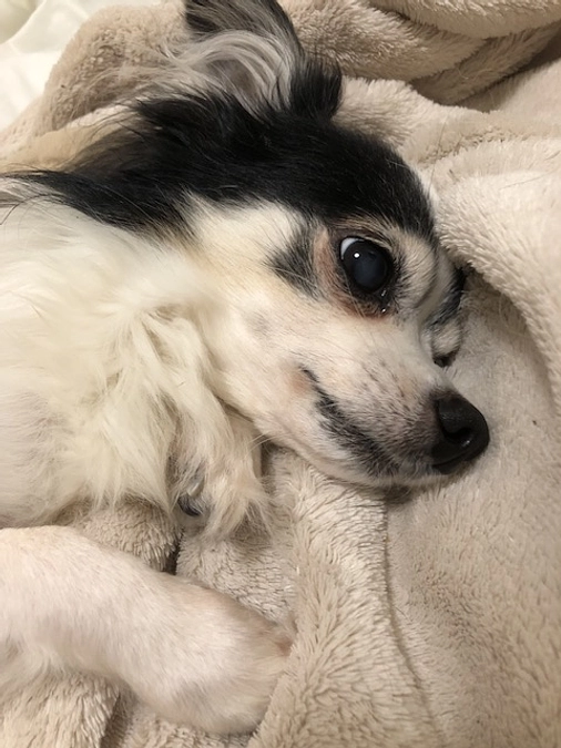 ようやく便が固まってきました