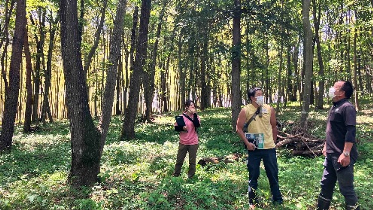 会場は道の駅うつのみや「ろまんちっく村」&下見をしてきました。