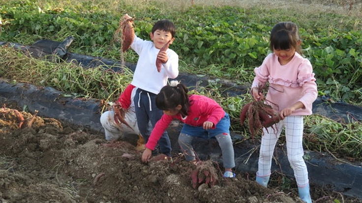 下関オーガニック食材が育つ現場と生活を繋ぐ直売所オープン！