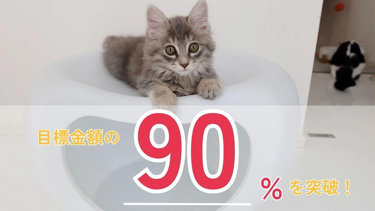 ＼90%超えました！あと一息で達成／
