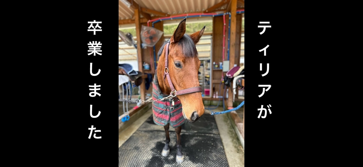ティリア卒業🐴