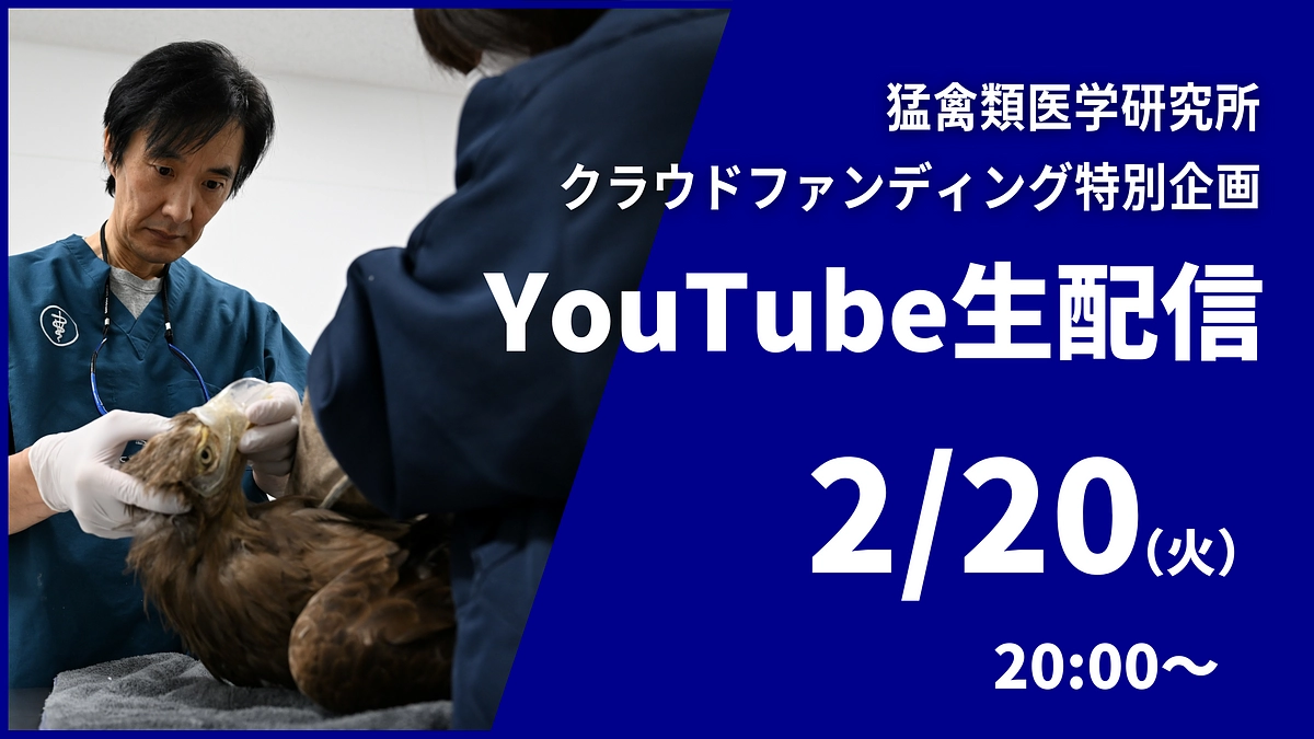 【特別企画 YouTube生配信のお知らせ】お見逃しなく！2/20(火)20:00~
