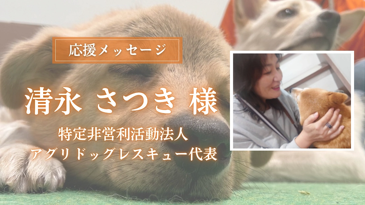 特定非営利活動法人アグリドッグレスキュー代表の清永 さつき様からの応援メッセージのご紹介