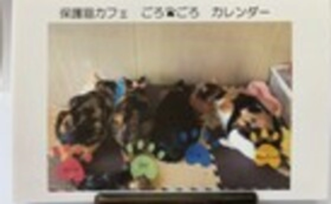 お礼のお手紙・卓上カレンダー・ねこプリント巾着（小）・『保護猫カフェあんちゃん』新聞